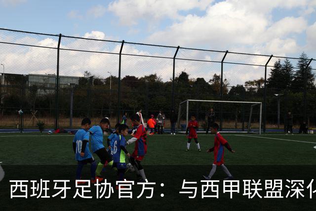 西班牙足协官方：与西甲联盟深化合作，将引入半自动越位识别系统